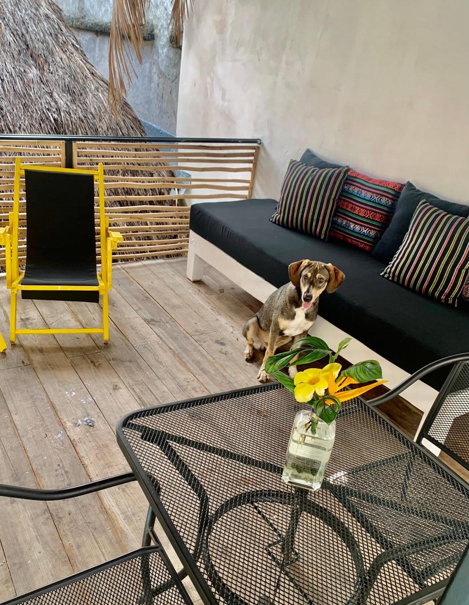 Sayulita Surf Bungalows Exterior photo